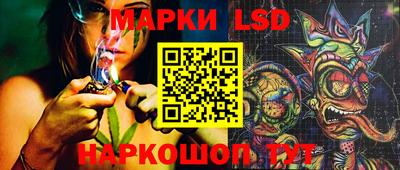 МДПВ Донецк