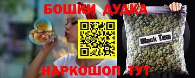 СК Дубна