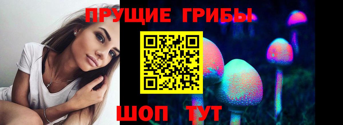 Псилоцибиновые грибы Psilocybine cubensis  Вход с VPN  Нарьян-Мар 